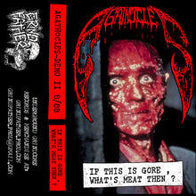 Agathocles: If This Is Gore, What's Meat Then? • Demo II 8/88 cassette