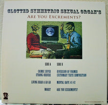 C.S.S.O.: Are You Excrements? 12"