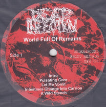 Dead Infection: World Full Of Remains 12"