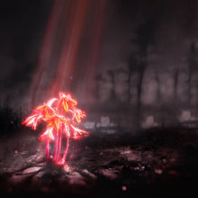 Enter Shikari: A Kiss For The Whole World 12" box set