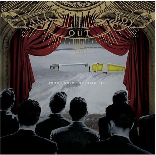 Fall Out Boy: From Under The Cork Tree 12