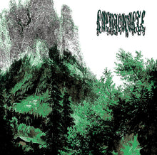 Karnilapakte: S/T 12"