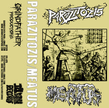 Parazitózis / Meatus: Split cassette