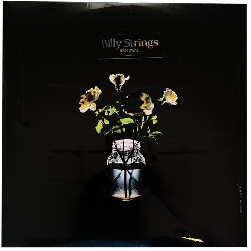 Billy Strings: Renewal 2x12