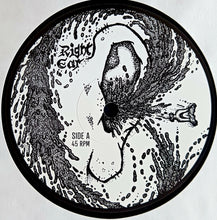 Rot: Organic 12"