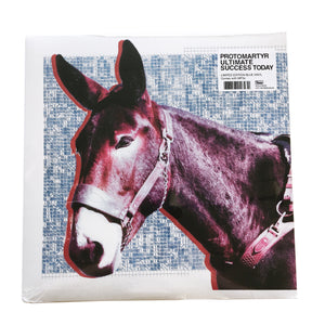 Protomartyr: Ultimate Success Today 12" (Indie Exclusive)