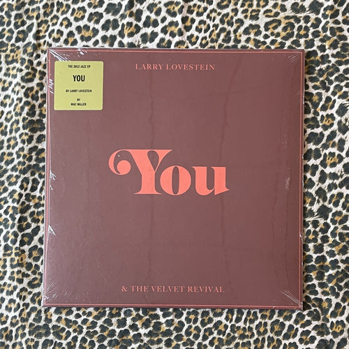 Larry Lovestein & The Velvet Revival: You 10