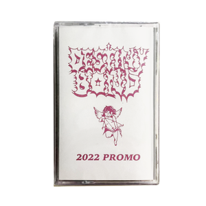 Destiny Bond: 2022 promo cassette