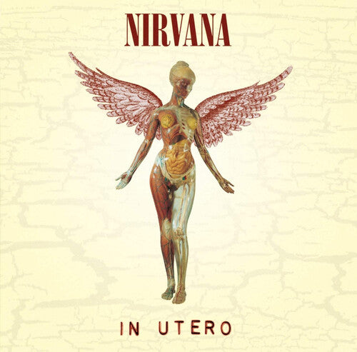 Nirvana: In Utero 12