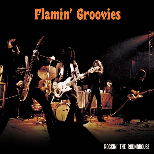 Flamin' Groovies: Rockin' The Roundhouse 12