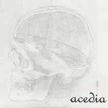 Acedia: The Swarms Will Come To Slaughter The Hogs 7"