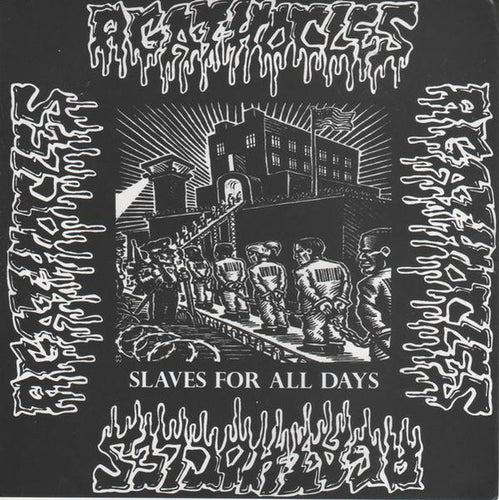 Agathocles / Academic Worms: Split 7