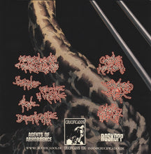 Agents Of Abhorrence / Roskopp: Split 7"