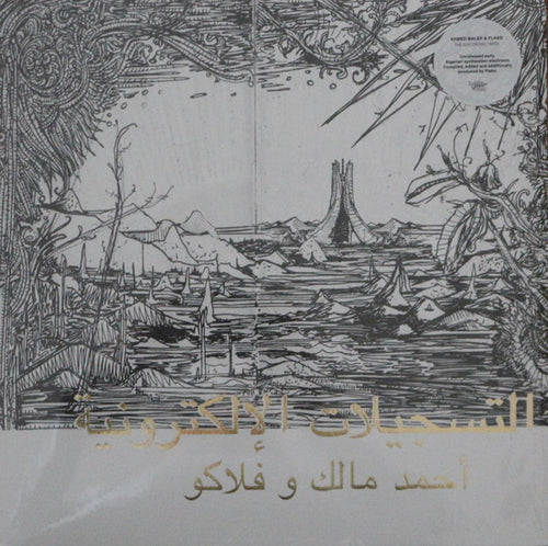 Ahmed Malek & Flako: The Electronic Tapes 12
