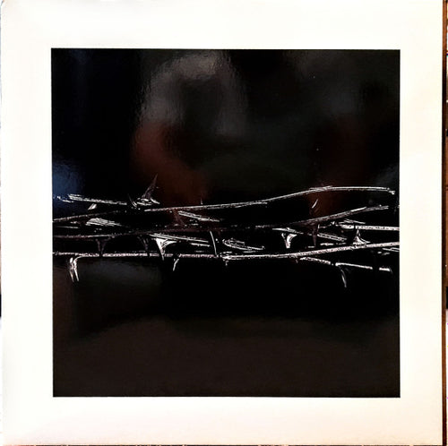 Amenra: De Doorn 12