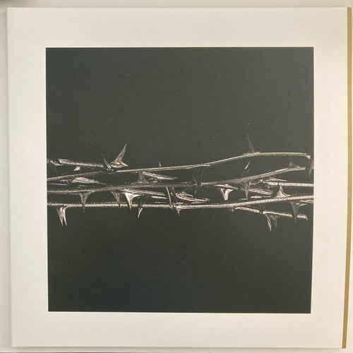 Amenra: De Doorn 12