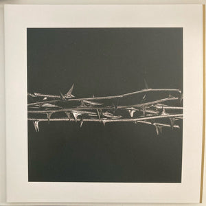 Amenra: De Doorn 12"