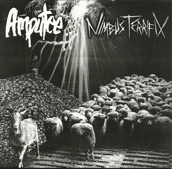 Amputee / Nimbus Terrifix: Split 7