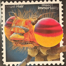 Angel Hair: Insect Immortality 12"