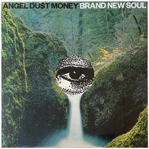 Angel Dust: Brand New Soul 12"