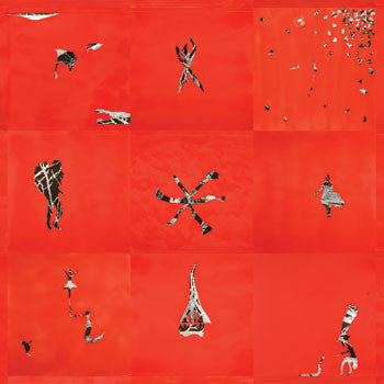 Animal Collective: Hollinndagain 12