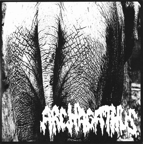 Archagathus / Bangsat: Split 7