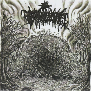 Archagathus / Compost: Split 7"