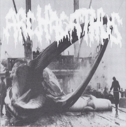 Archagathus / Paucities: Split 7