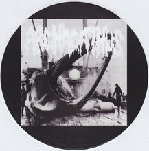 Archagathus / Paucities: Split 7"