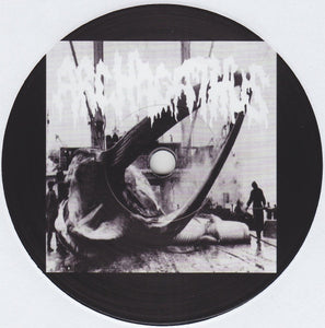 Archagathus / Paucities: Split 7"