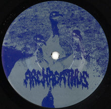 Archagathus / Sakatat: Split 7"