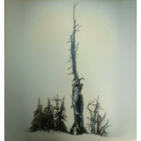 Kurgan: Ascetic Dissociations 12