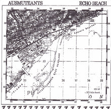 Ausmuteants: Mates Rates 7"