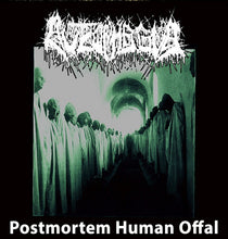 Autophagia: Postmortem Human Offal 12"