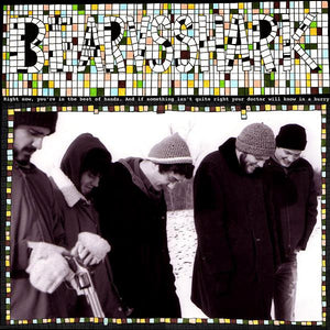Bear Vs. Shark: Right Now You're In The Best Of Hands 12"