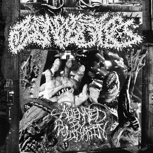 Beasters : Alienated By Solidarity 7