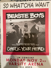 Beastie Boys: Check Your Head 12"