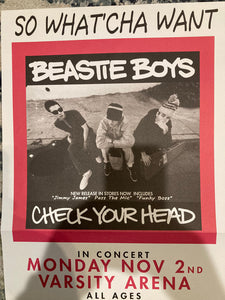 Beastie Boys: Check Your Head 12"