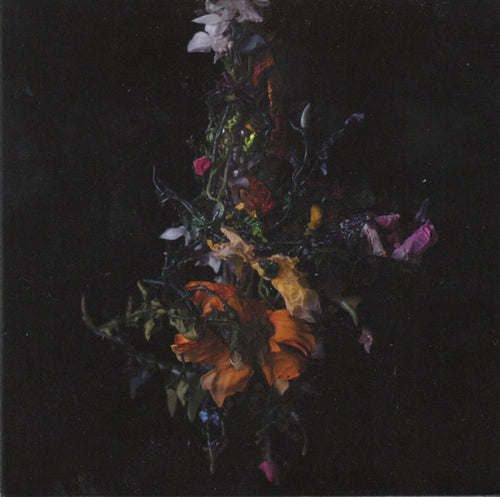 Big Brave: Nature Morte CD