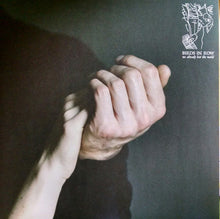 Birds In Row: We Already Lost The World 12"