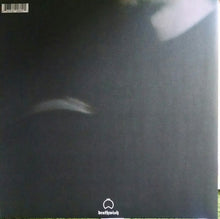 Birds In Row: We Already Lost The World 12"