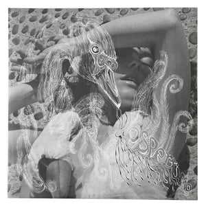 Bjork: Vespertine 12"