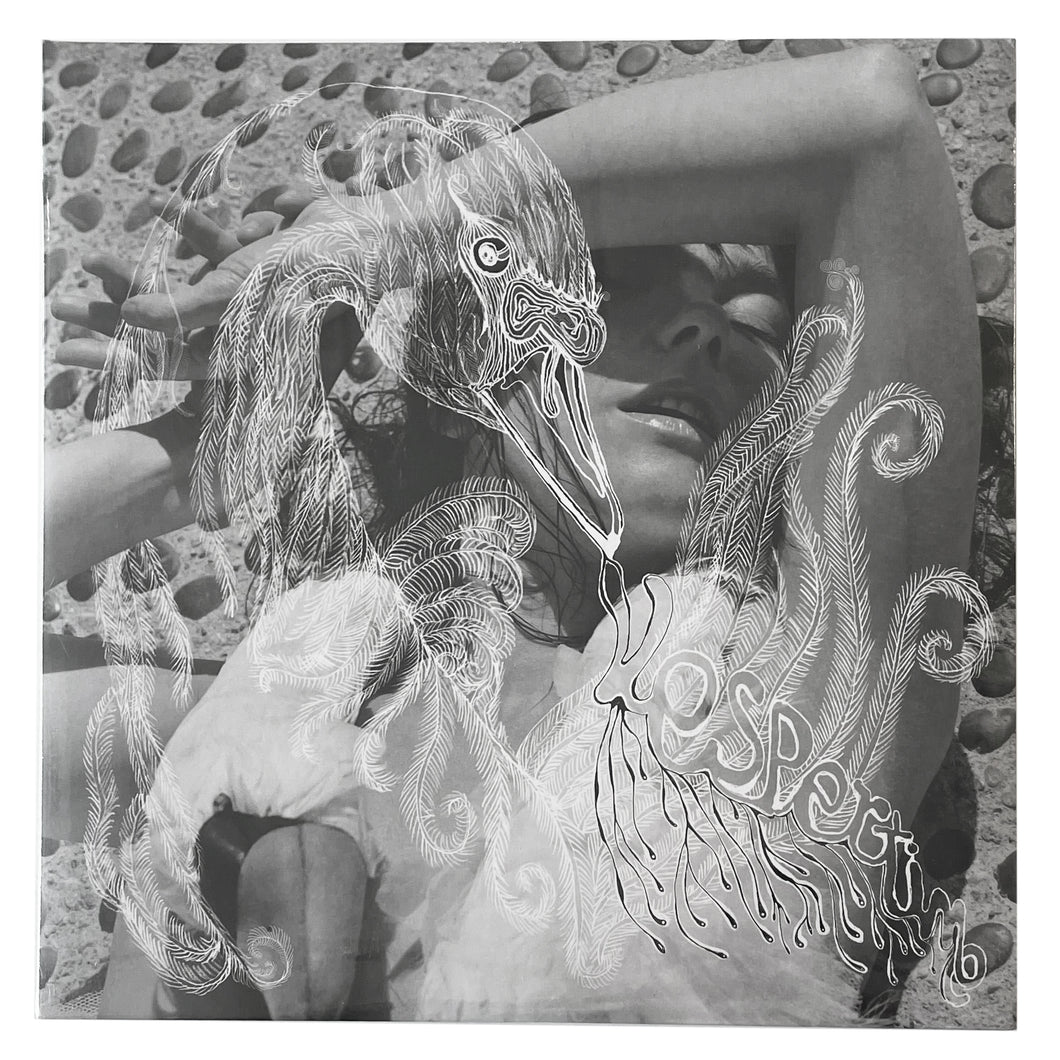 Bjork: Vespertine 12