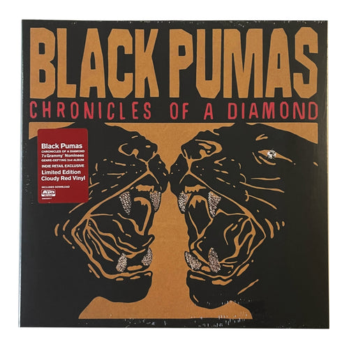 Black Pumas: Chronicles Of A Diamond 12