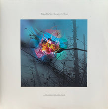 Blinkar Från Norr: Metaphors For Things 2x12"