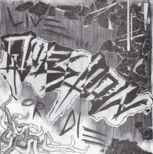 Bloody Phoenix / Question: Split 7"