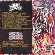 Blue Holocaust / Lysergic Rites Of Sadopriest: Split cassette