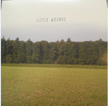 Bobby Barnett: Little Wounds 12"
