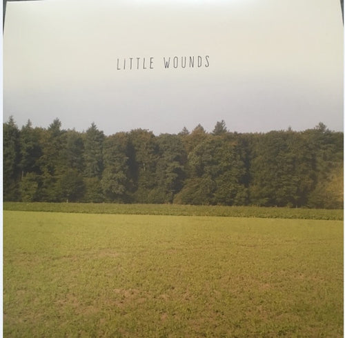 Bobby Barnett: Little Wounds 12