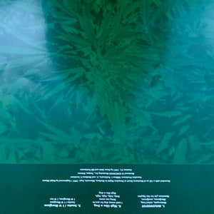 Bongzilla: Methods For Attaining Extreme Altitudes 12"